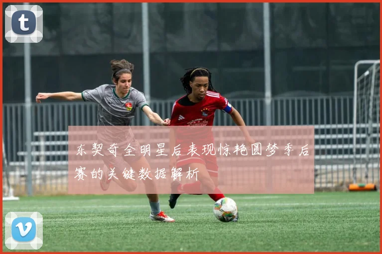 东契奇全明星后表现惊艳圆梦季后赛的关键数据解析