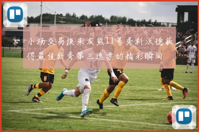 小杨交易换来灰熊11号秀科沃德获得最佳新秀第三选票的精彩瞬间